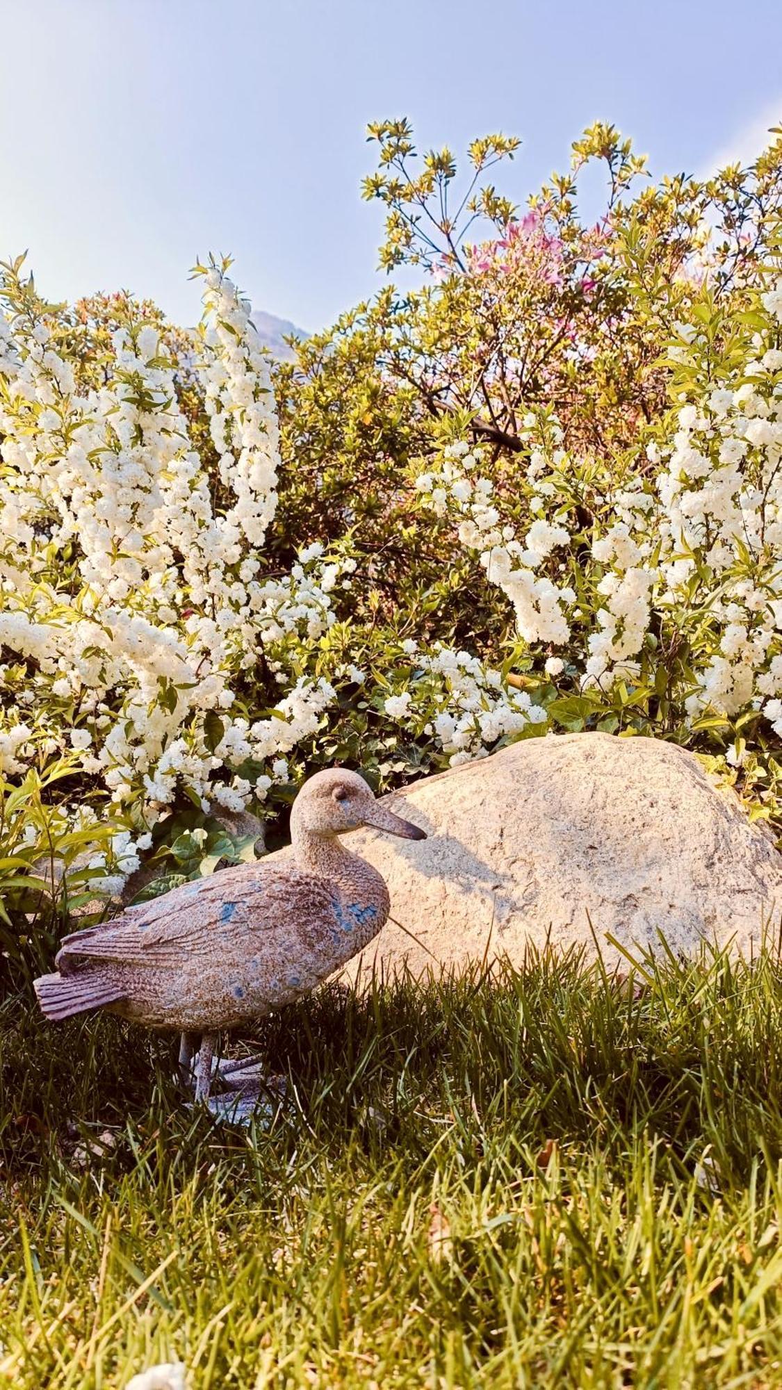 Hotel Villa Cuserina カンノビオ エクステリア 写真