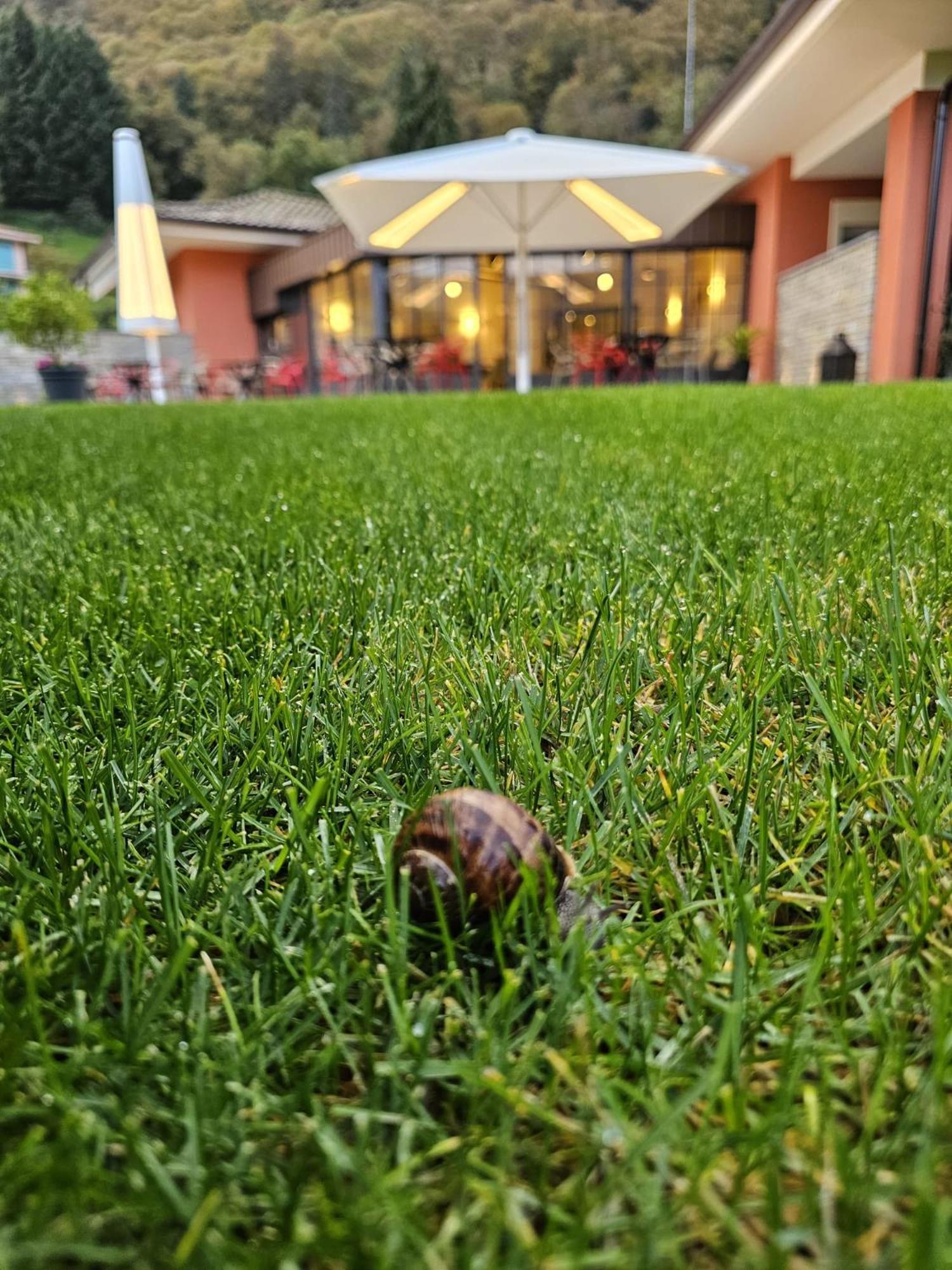 Hotel Villa Cuserina カンノビオ エクステリア 写真